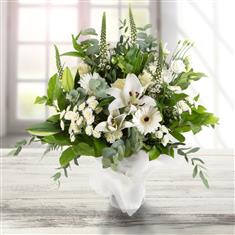  Catherine&#39;s Classique