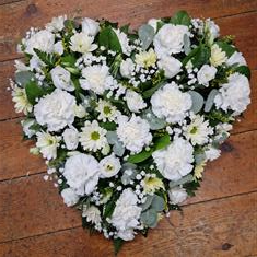 Loose white heart