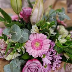 Pastel Petals 