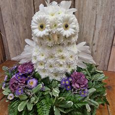 3D Owl 